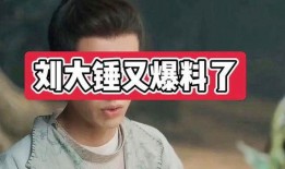 刘大锤爆料后续视频,揭秘事件真相与更多内幕