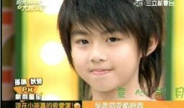 陈慧娴爆料小时候视频,揭秘童年趣事与成长点滴