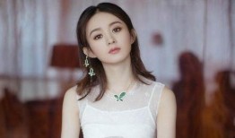 赵丽颖中餐厅最新爆料,美食之旅中的暖心瞬间与幕后故事