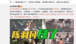 卓伟爆料视频古装大全图片,古装大全图片揭秘，带你领略古代服饰之美