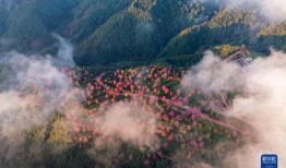 南涧爆料新闻,揭秘当地热点事件背后的真相