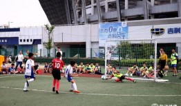 今日足球爆料最新消息,最新爆料揭示赛场幕后真相