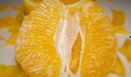 抖音网红小青柑吃瓜,抖音网红带你揭秘娱乐圈幕后故事