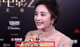 爆料娱乐圈粉丝有多少人,揭秘庞大粉丝群体的生活现状与心理状态