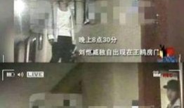 卓伟连续爆料事件真相视频,揭秘娱乐圈背后的风云变幻