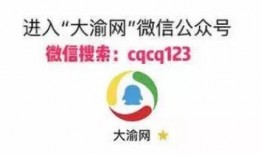 大渝网新闻爆料电话,揭秘新闻热线背后的故事