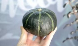 抖音网红小青柑吃瓜,抖音网红带你揭秘娱乐圈幕后故事