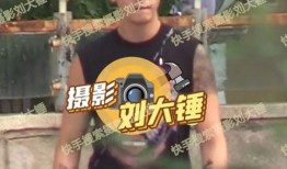 刘大锤爆料后续视频,揭秘事件真相与更多内幕