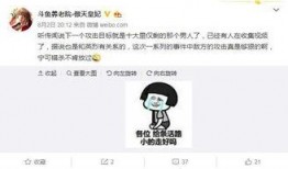 网友爆料阵容视频大全集,揭秘热门影视幕后阵容