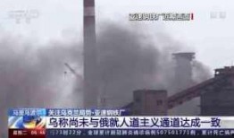 爆料亚速钢铁厂事件视频,惊心动魄的生死较量