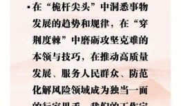 爆料新闻素材摘抄大全,热点事件背后的真相与细节