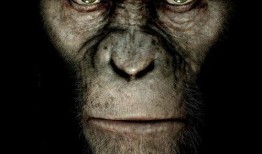 猩猩崛起3在线观看,智勇新纪元在线观影指南