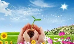 最新爆料珍爱生命图片,共筑安全防线——最新爆料图片警示录