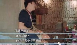 郝龙老婆爆料视频,揭秘夫妻关系背后的真相