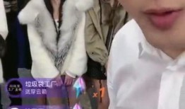 辛巴爆料散打视频,散打高手背后的故事