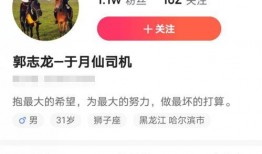 哈尔滨爆料最新消息今天,突发事件引发全城关注！