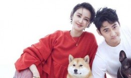 二姐张歆艺爆料袁弘视频,张歆艺揭露惊人真相