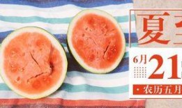 什么公众号可以免费吃瓜,关注这些公众号，美味瓜果轻松享