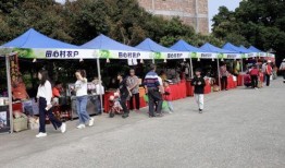 佛冈县新闻爆料网,聚焦本土热点，传递最新资讯