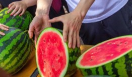 免费版吃瓜,揭秘娱乐圈幕后真相