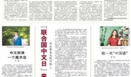 爆料新闻素材摘抄大全,热点事件背后的真相与细节