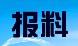 广东新闻爆料找哪个,聚焦热点事件，深度解析社会现象