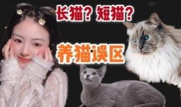 福州布偶爆料事件视频完整版,完整视频揭露惊人内幕