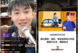 健哥爆料王乐乐视频,健哥爆料背后的真相与争议
