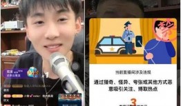 健哥爆料王乐乐视频,健哥爆料背后的真相与争议