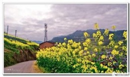 风景最新爆料图片,最新风景图片惊艳亮相