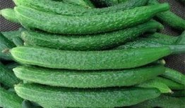 黄瓜农药爆料图片真实视频