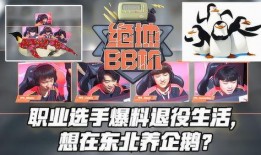 退役职业选手爆料视频,电竞幕后真相与心路历程