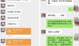 王者小艺爆料视频大全,揭秘游戏幕后精彩瞬间