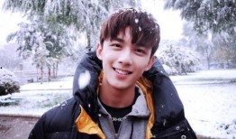 吴磊感情爆料事件视频播放,揭秘明星恋情背后的真相