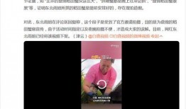 东北雨姐直播爆料视频播放,视频播放背后的惊人真相