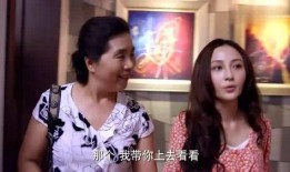 燕姐前保姆爆料事件视频,事件视频曝光惊人真相