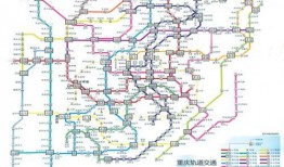 重庆轻轨司机爆料新闻最新,惊心动魄的紧急制动瞬间