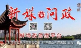 蚌埠房产爆料最新消息,揭秘房价走势与热门项目！