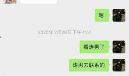 台湾打假爆料事件最新情况,最新进展与各方动态揭秘