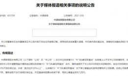 举报视频大爆料怎么举报,一键生成举报攻略全解析