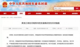猪瘟最新爆料消息新闻,揭秘病毒传播途径与防控措施