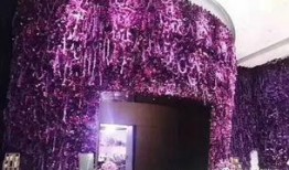 温州婚礼爆料视频最新,揭秘传统婚俗与现代潮流的完美融合