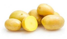 土豆每日爆料配方视频,揭秘配方视频背后的秘密