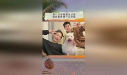 吃瓜娱乐间抖音小游戏,吃瓜娱乐间，带你体验趣味互动新潮流