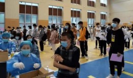 秃崽崽最新爆料消息视频,揭秘视频背后的惊人真相！