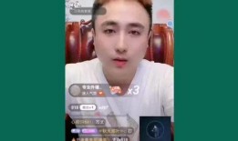 辛巴爆料散打视频,散打高手背后的故事