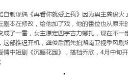 四字小花最新爆料,揭秘娱乐圈幕后真相