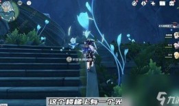 原神枫丹小男孩爆料视频,揭秘神秘游戏世界背后的故事