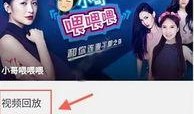 爆料热点金星直播视频回放,揭秘娱乐圈幕后真相