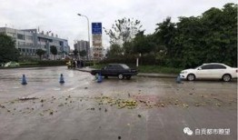 杞县圉镇车祸最新爆料新闻,悲剧现场细节披露，伤亡情况引关注